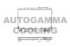 AUTOGAMMA 103330 Radiator, engine cooling